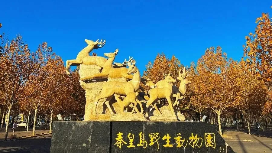 秦皇岛野生动物园旅游攻略：体验动物的奇妙与自然的魅力