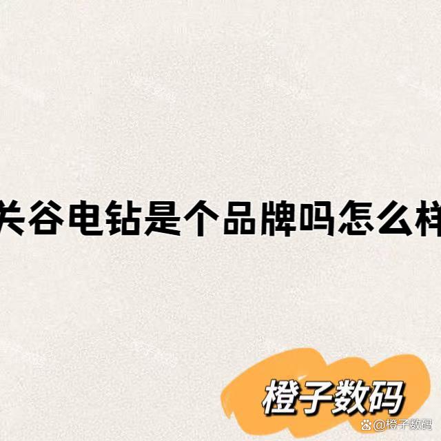 关谷电钻是个品牌吗怎么样