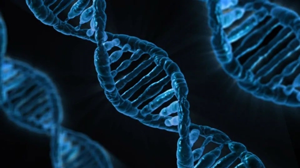 这种每年感染5000万人的寄生虫：科学已经知道它对人体做了什么-图7