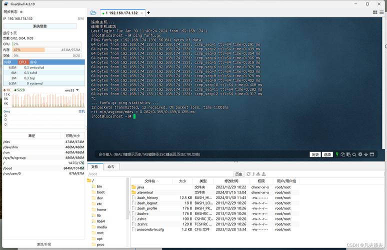 如何在Docker的CentOS容器中安装SSH服务？