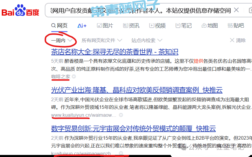 揭秘卖网站项目(网站卖站副业)