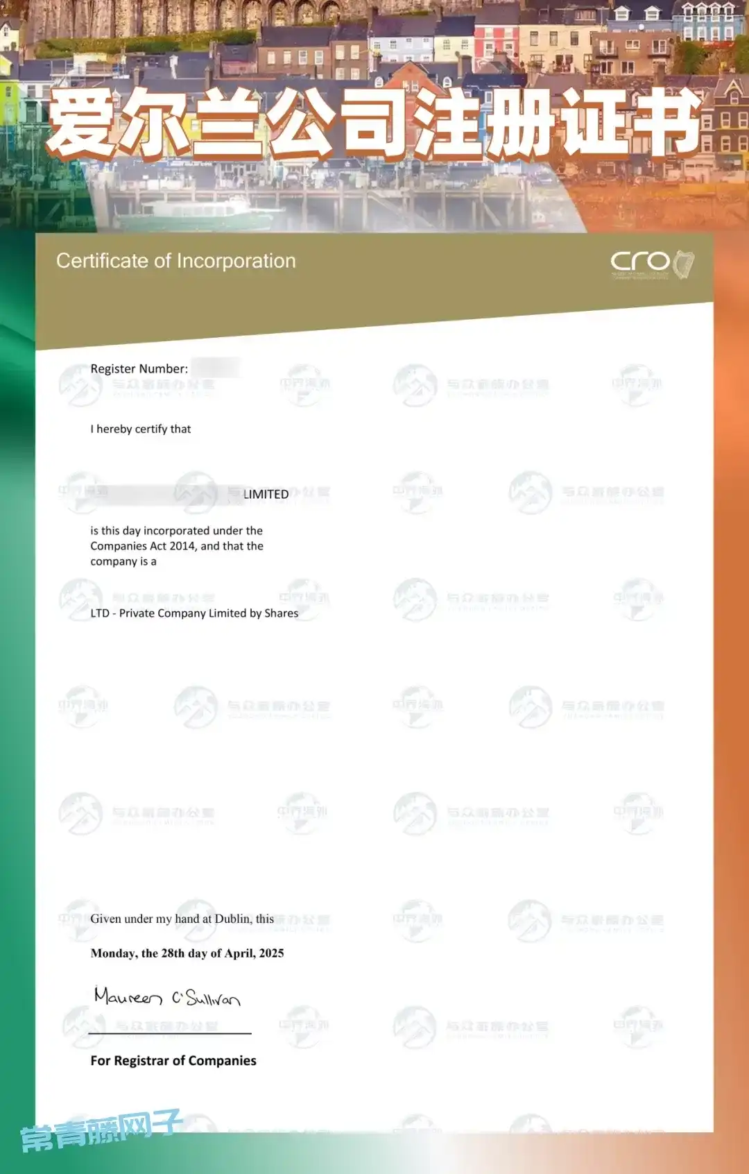 1欧元就能注册爱尔兰公司?手把手教你轻松拿下这块全球外商投资的“香饽饽”!