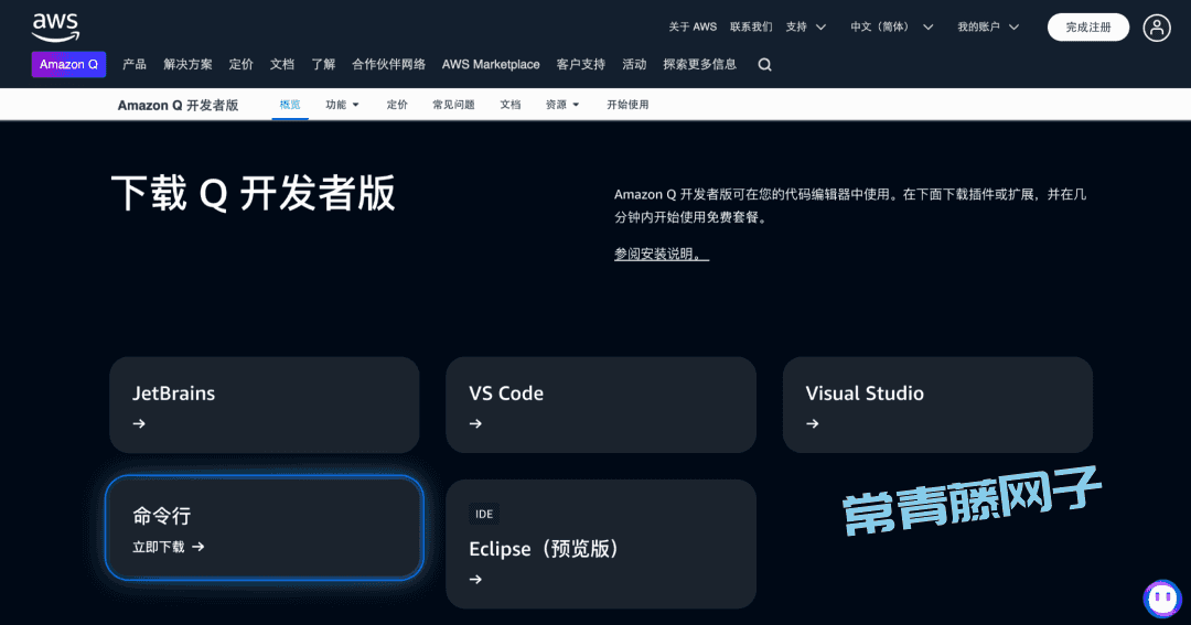 Amazon Q 第一次见在电脑终端里干活的AI