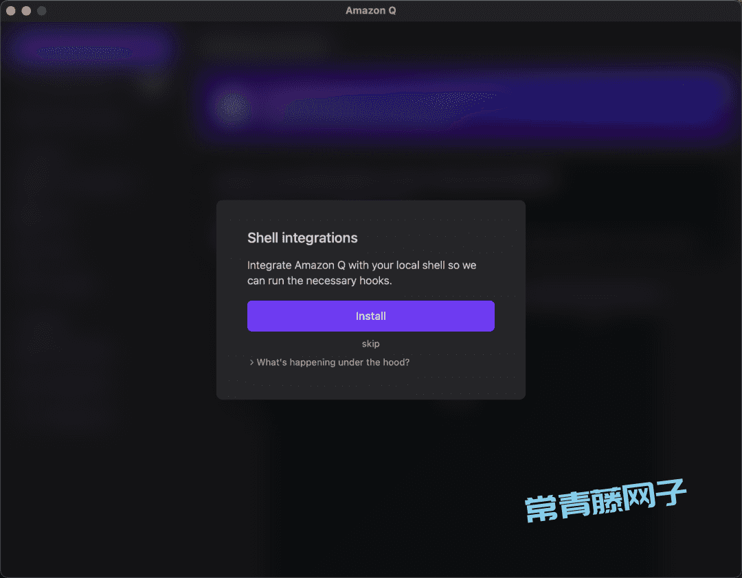 Amazon Q 第一次见在电脑终端里干活的AI