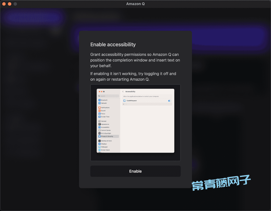 Amazon Q 第一次见在电脑终端里干活的AI