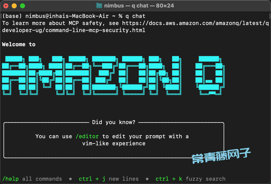 Amazon Q 第一次见在电脑终端里干活的AI
