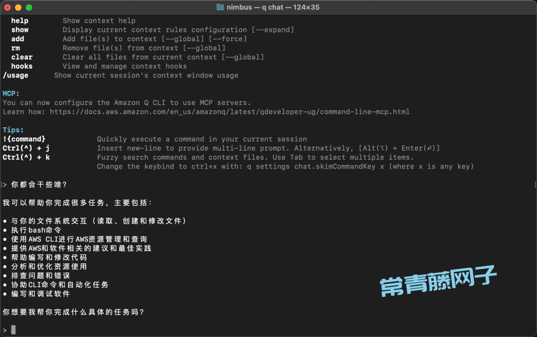 Amazon Q 第一次见在电脑终端里干活的AI
