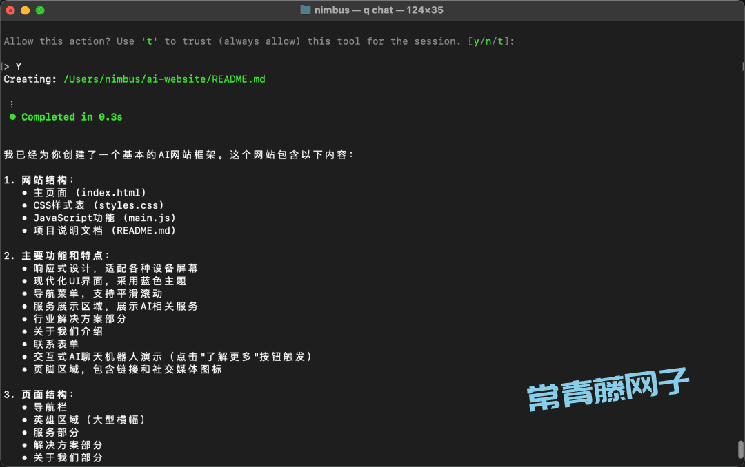 Amazon Q 第一次见在电脑终端里干活的AI