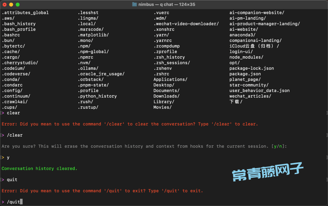 Amazon Q 第一次见在电脑终端里干活的AI
