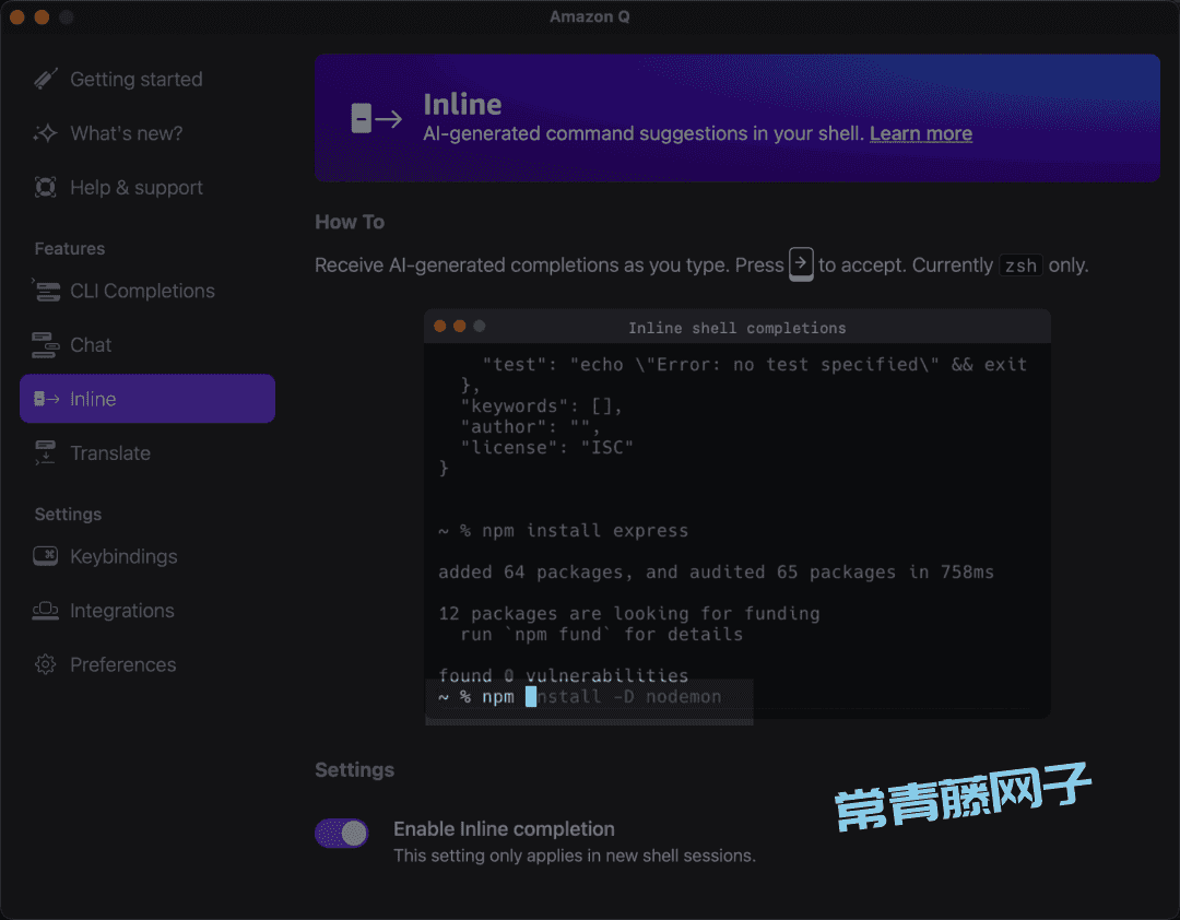 Amazon Q 第一次见在电脑终端里干活的AI