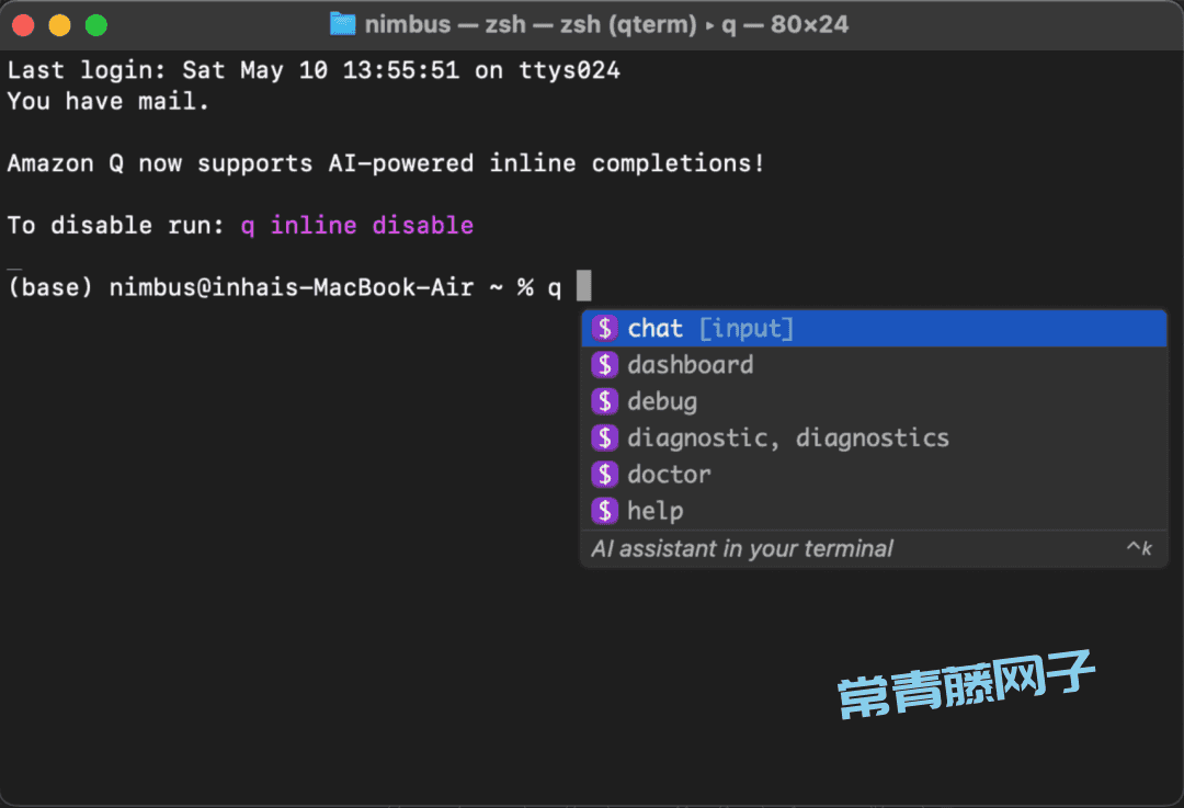 Amazon Q 第一次见在电脑终端里干活的AI
