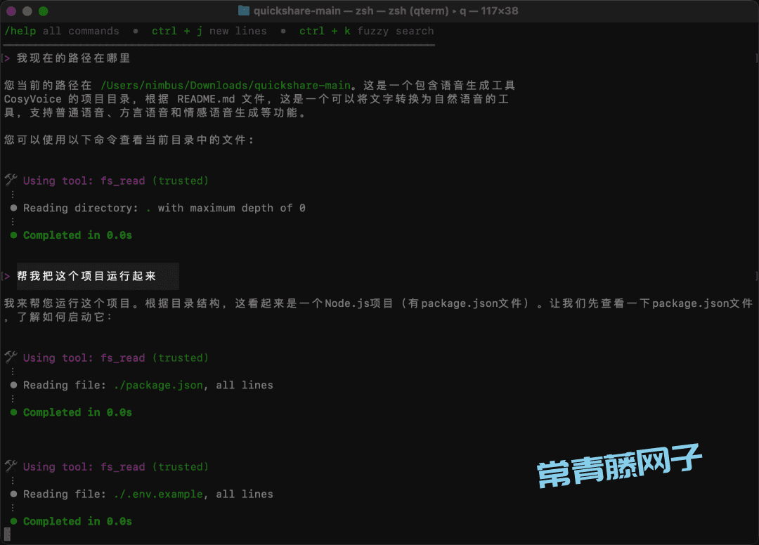 Amazon Q 第一次见在电脑终端里干活的AI