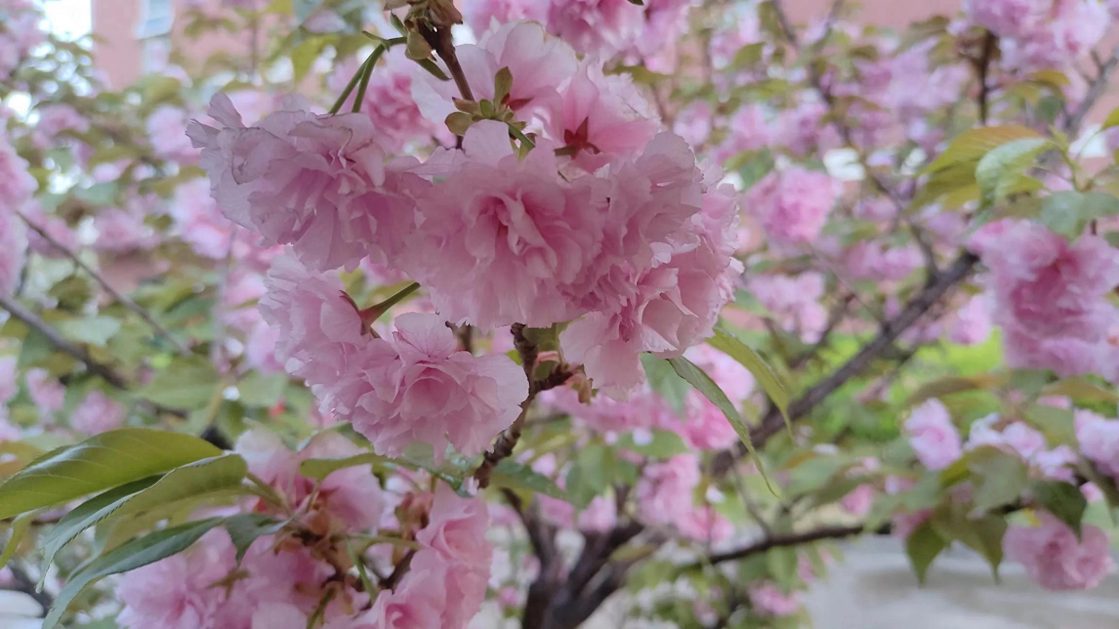 2025年养老金调整在即,部分1944年生的,能涨400元以上-图1 2025年养老金调整在即,部分1944年生的,能涨400元以上-图1