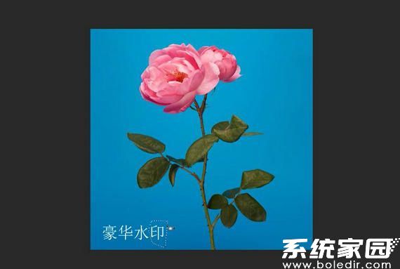 ps怎么去水印？ps怎么去水印无痕迹