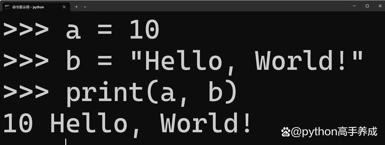 python中的赋值方法