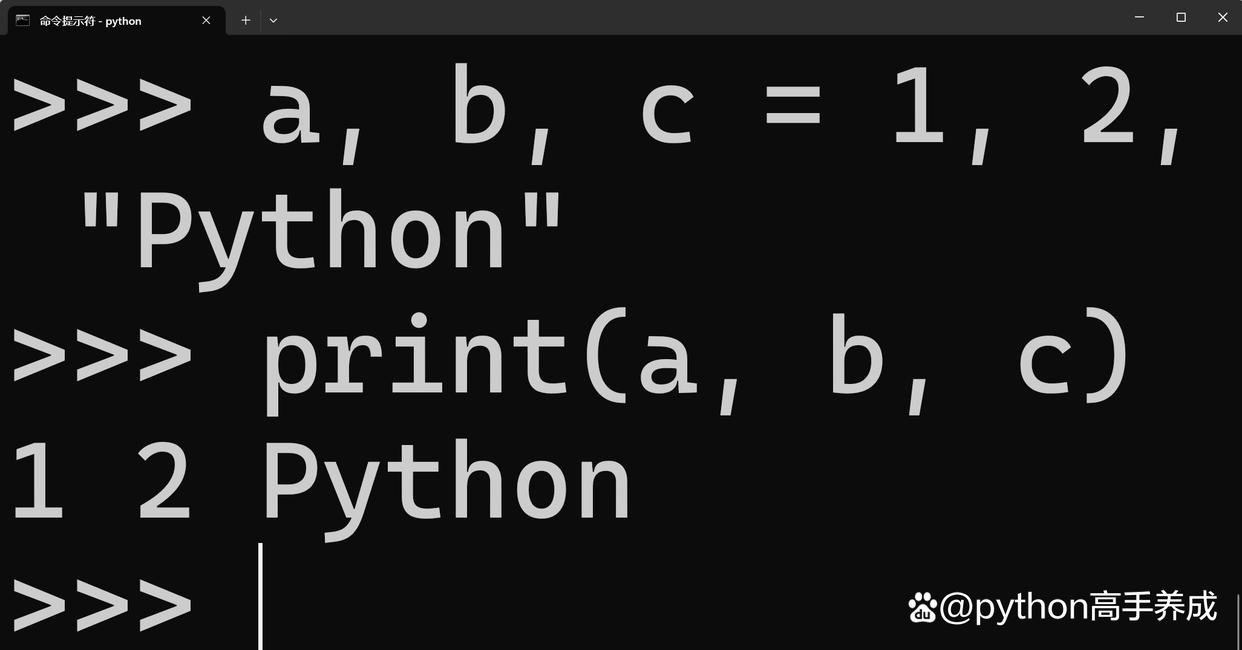 python中的赋值方法