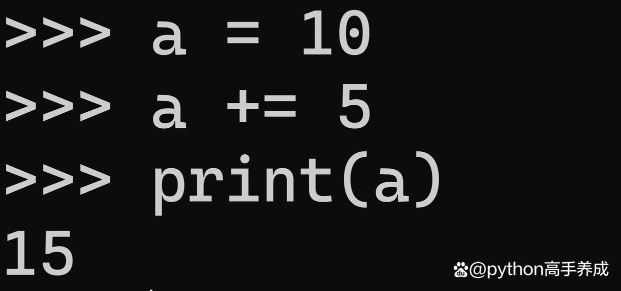 python中的赋值方法