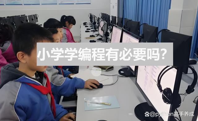 小学学编程有必要吗？