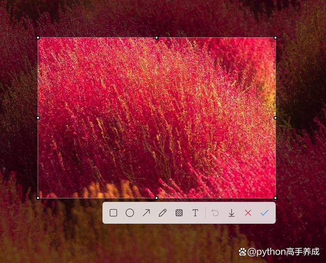 笔记本电脑怎么截图？