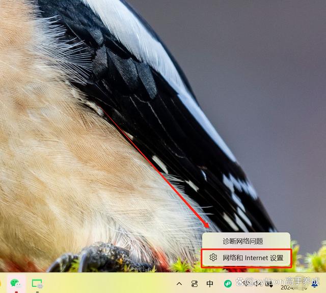 网页打不开怎么解决？