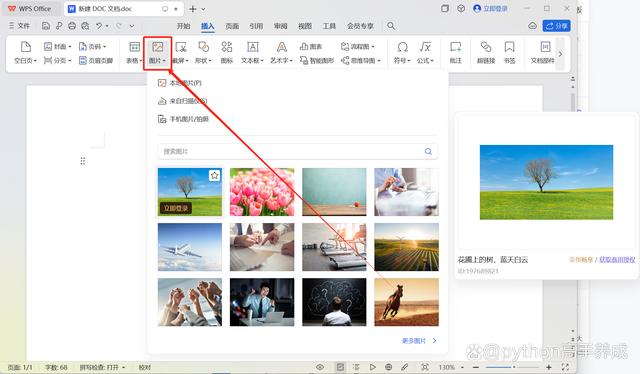 计算机二级wps考什么内容