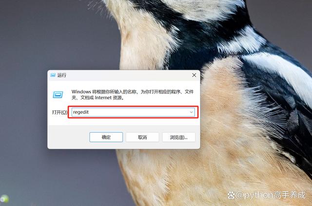 磁盘被写保护怎么去掉保护?轻松几步解除,数据自由掌控