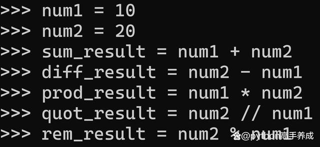 Python整数表达全攻略：深入解析与实战应用