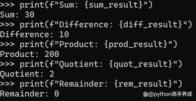 Python整数表达全攻略：深入解析与实战应用