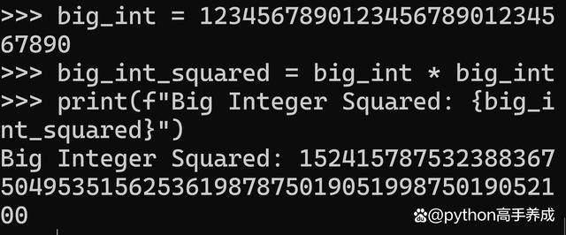 Python整数表达全攻略：深入解析与实战应用