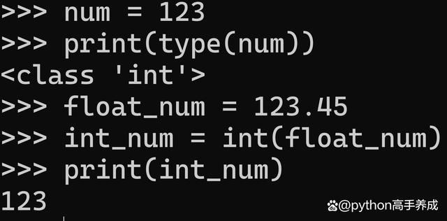 Python整数表达全攻略：深入解析与实战应用