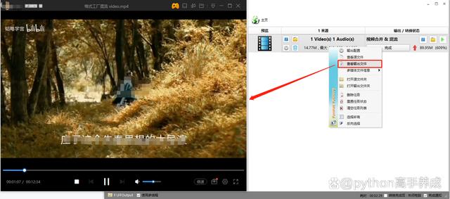 b站视频怎么下载到本地相册