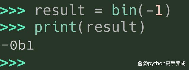 Python中bin函数的用法,深度解析二进制转换的奥秘
