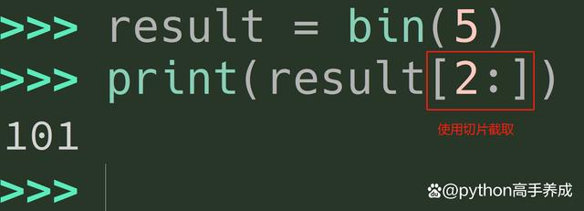 Python中bin函数的用法,深度解析二进制转换的奥秘