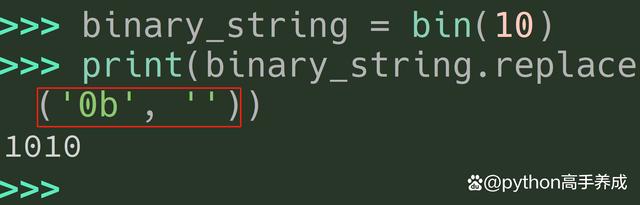 Python中bin函数的用法,深度解析二进制转换的奥秘