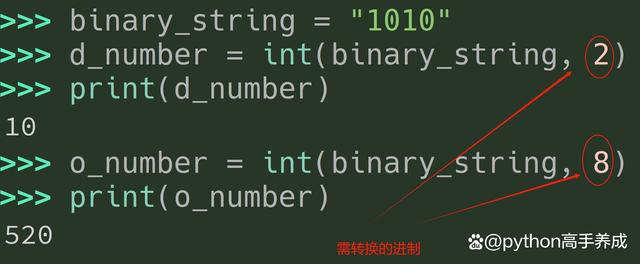 Python中bin函数的用法,深度解析二进制转换的奥秘