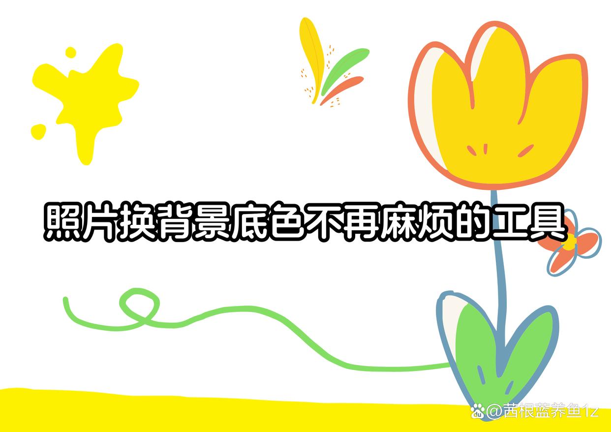 照片换背景底色太麻烦?6款个实用工具轻松搞定-趣考网