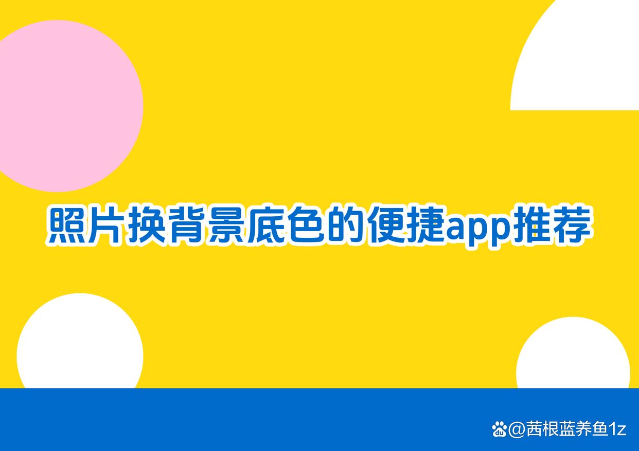 照片换背景底色怎么弄?5款便捷app教你快速上手-趣考网