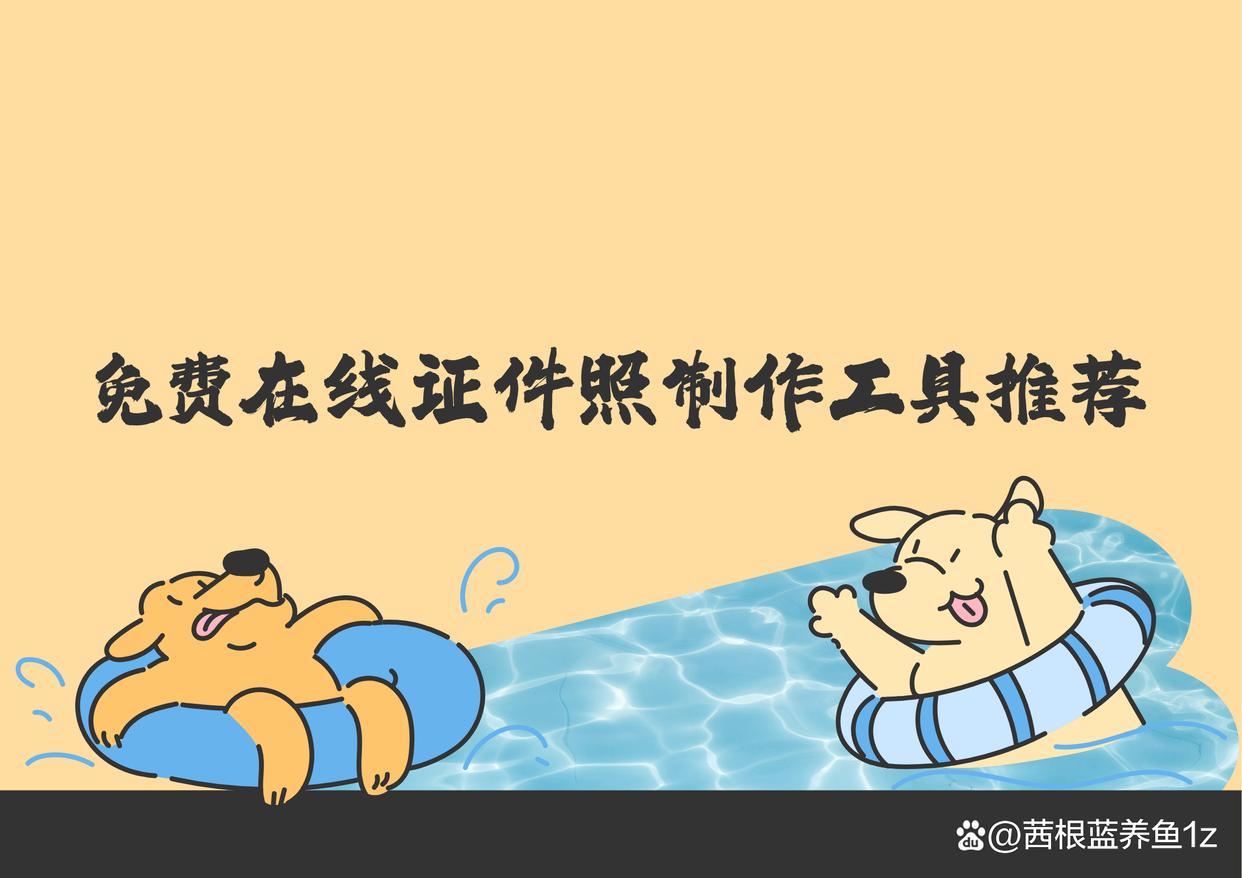 免费在线证件照?三款证件照制作工具,帮你完成任务-趣考网