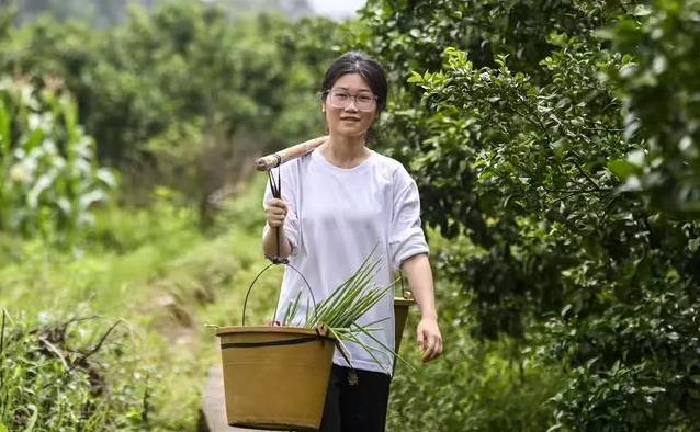 高考后挑行李走十里，她感动全网，985特招却是假的？-趣考网
