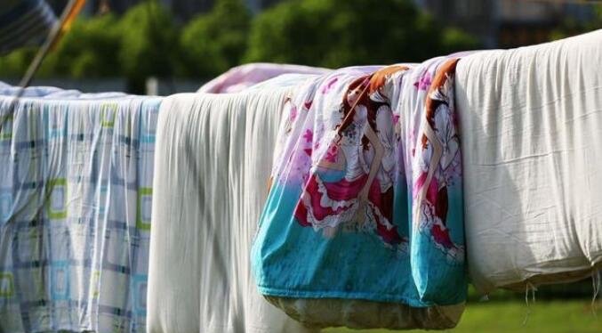 蜱虫最怕3个克星是什么，蜱虫最怕这3种东西(草药能有效驱蜱虫)