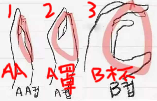 一只手能抓住的是c吗？和B罩杯什么区别(图解手测罩杯)