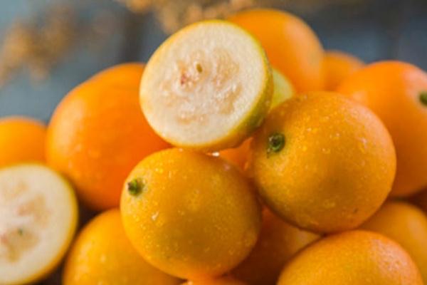 小金桔的作用与功效？小金桔泡水喝的功效与作用