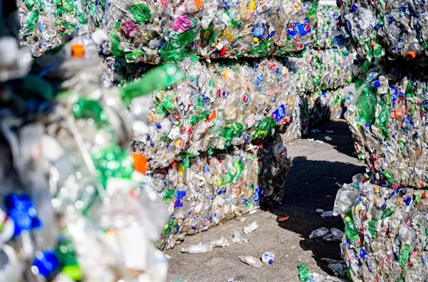 地球上明明有吃塑料的虫子 为什么没有普及-图6 地球上明明有吃塑料的虫子 为什么没有普及-图6