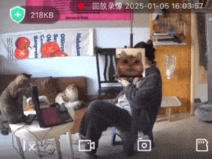 宠物猫误发离职邮件：重庆女子工作丢了 年终奖泡汤了(图2)