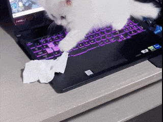 宠物猫误发离职邮件：重庆女子工作丢了 年终奖泡汤了(图3)
