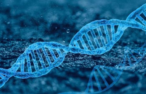 新成就！中国科学家成功实现哺乳动物器官完全再生(图1)