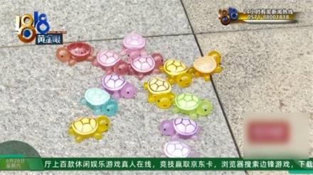 男子看劳斯莱斯后女友与销售互骂 被寄来小乌龟侮辱(图3)