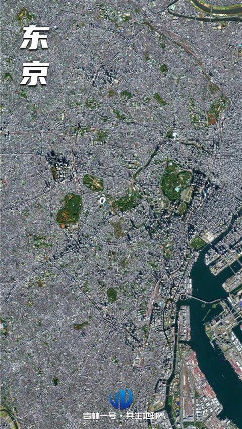 从卫星看国内外城市：绿化面积 云壤之别(图6)