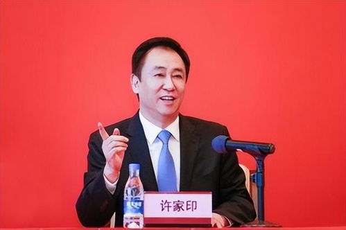 曝许家印前妻育有两名未成年子女，豪门恩怨再掀波澜