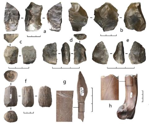 距今最久36万年！云南出土东亚最早木器 揭秘古人生存之道(图3)